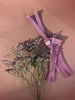 US stockist of Silly Silas' Shorty Tights in Acai Smoothie
