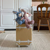 US stockist of Olli Ella's Bunny Pickle Cozy Dinkum