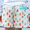 US stockist of Saint Ida's Coney Island Popsicle Swim Shorts