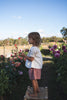 US stockist of Illoura the Label's Red Plaid Thea Shorts