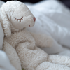 US stockist of Senger Naturwelt's small cuddly white sheep