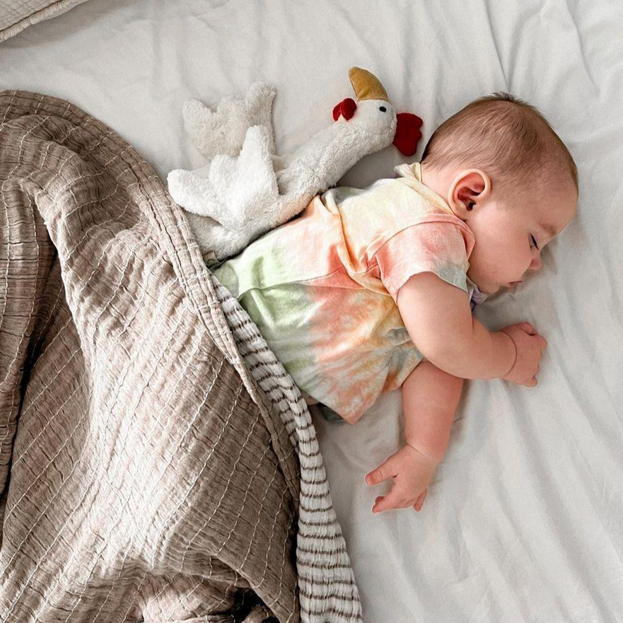 US stockist of Senger Naturwelt's small cuddly chicken animal