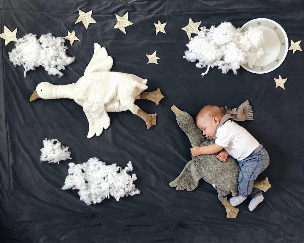 US stockist of Senger Naturwelt's Large Grey Cuddly Goose.