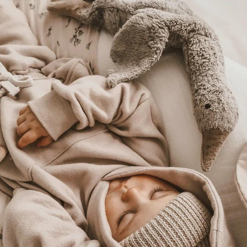 US stockist of Senger Naturwelt's Small Grey Cuddly Goose.