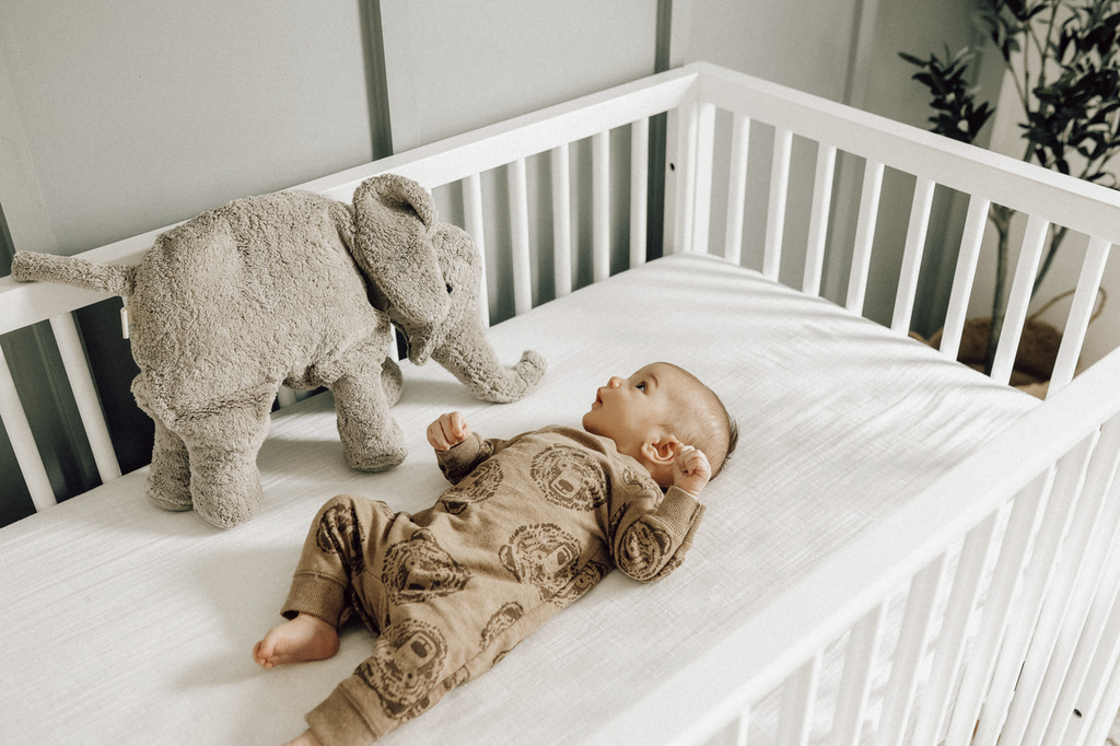 US stockist of Senger Naturwelt's Large Cuddly Elephant.