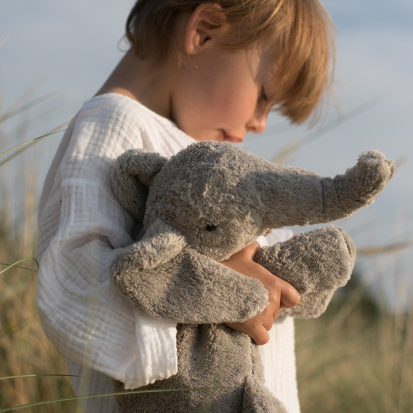 US stockist of Senger Naturwelt's small cuddly elephant.