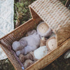 US stockist of Olli Ella's Bunny Twinkle Cozy Dinkum