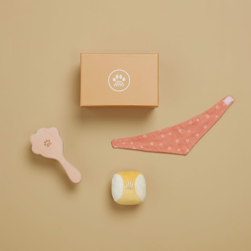 US stockist of Olli Ella's Dinkum Dogs Starter Set