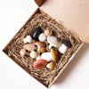 Stockist of Moon Picnic's Mushrooms in a box.  Set of 15 different wooden mushrooms made from beech wood which arrive in a box.