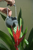 US stockist of Scrunch's cool grey silicone watering can.