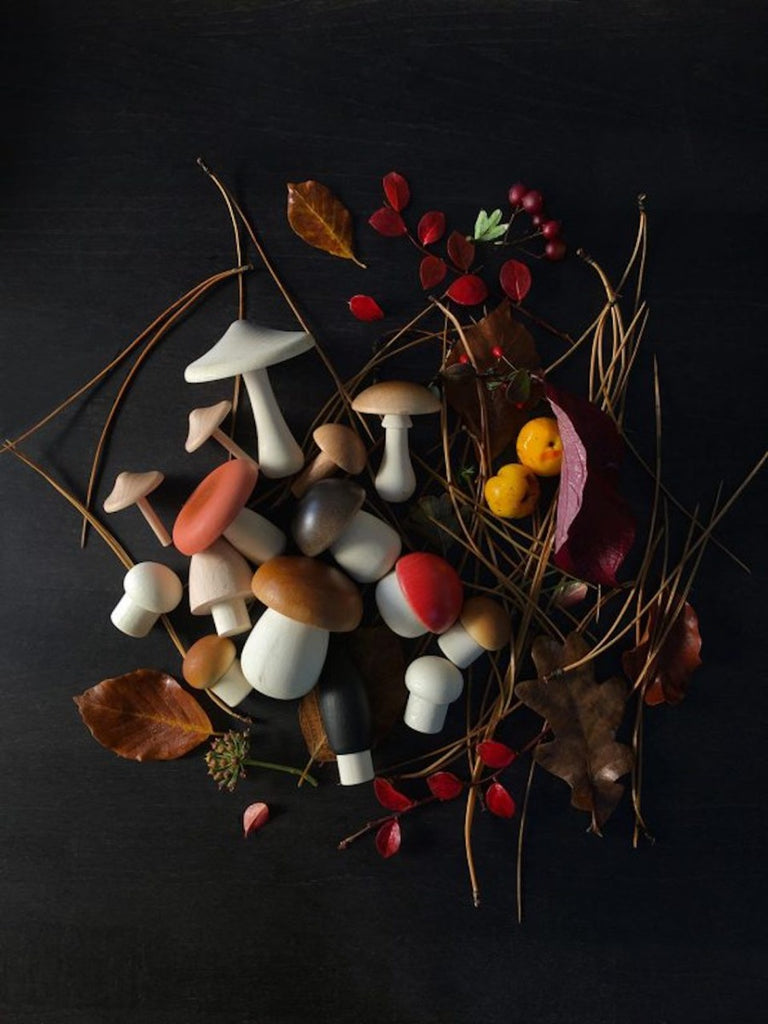 Stockist of Moon Picnic's Mushrooms in a box.  Set of 15 different wooden mushrooms made from beech wood which arrive in a box.