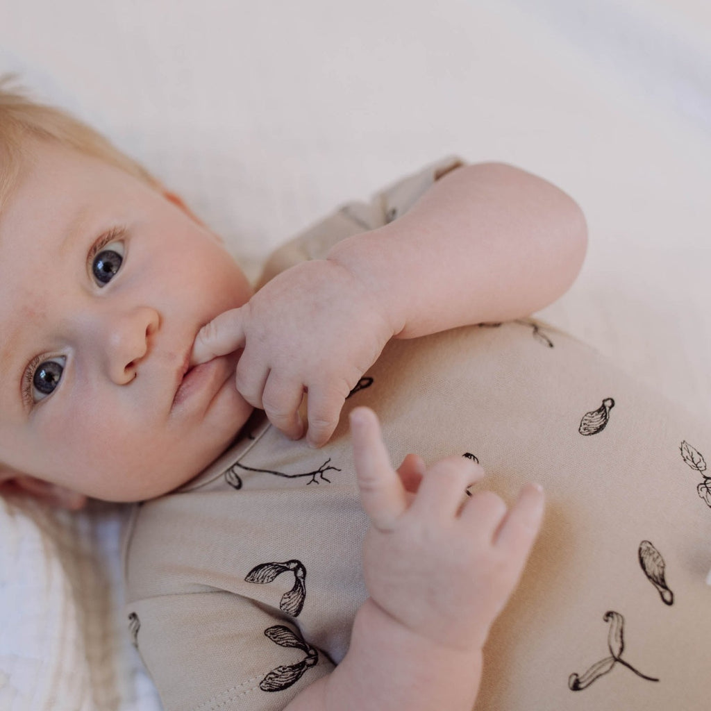 US stockist of Buck & Baa's gender neutral, organic cotton, short sleeve Maple bodysuit.