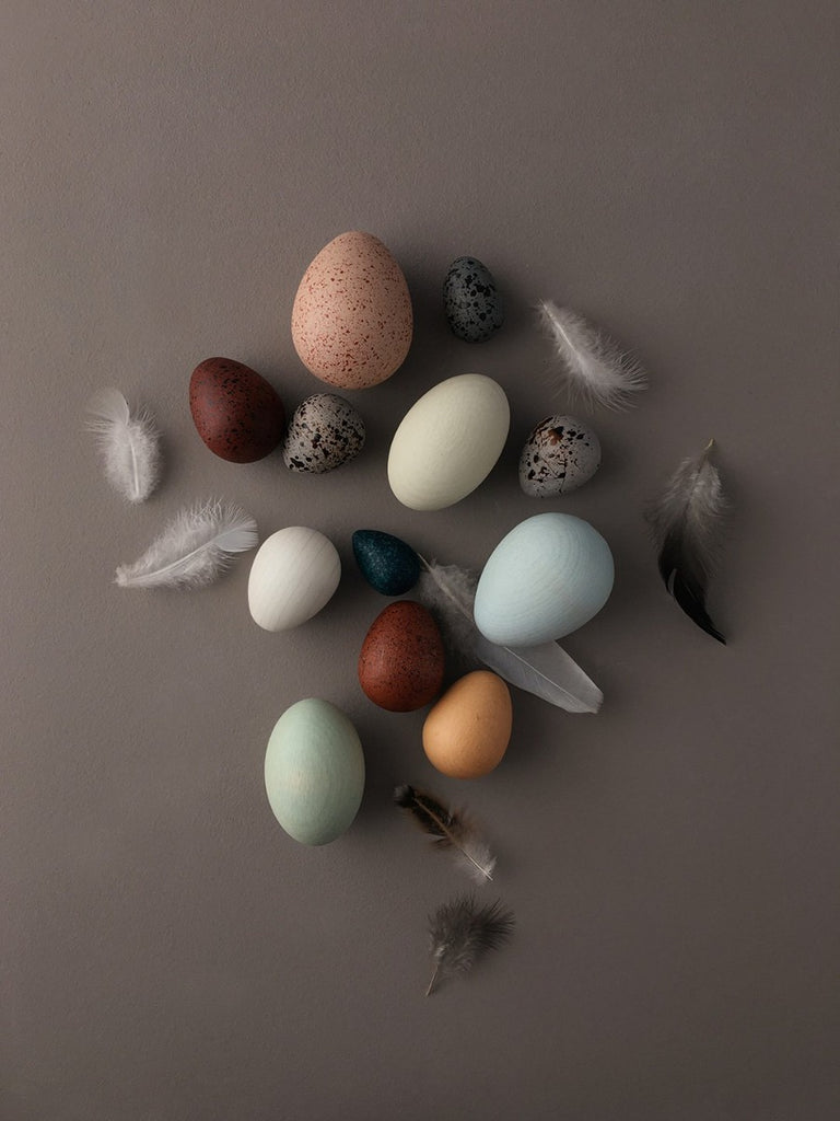 US stockist of Moon Picnic's dozen bird eggs in a box.