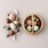 US stockist of Moon Picnic's Dozen Bird Eggs in a basket.