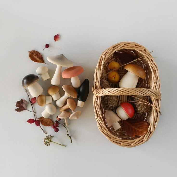US stockist of Moon Picnic's Forest Mushrooms Basket.