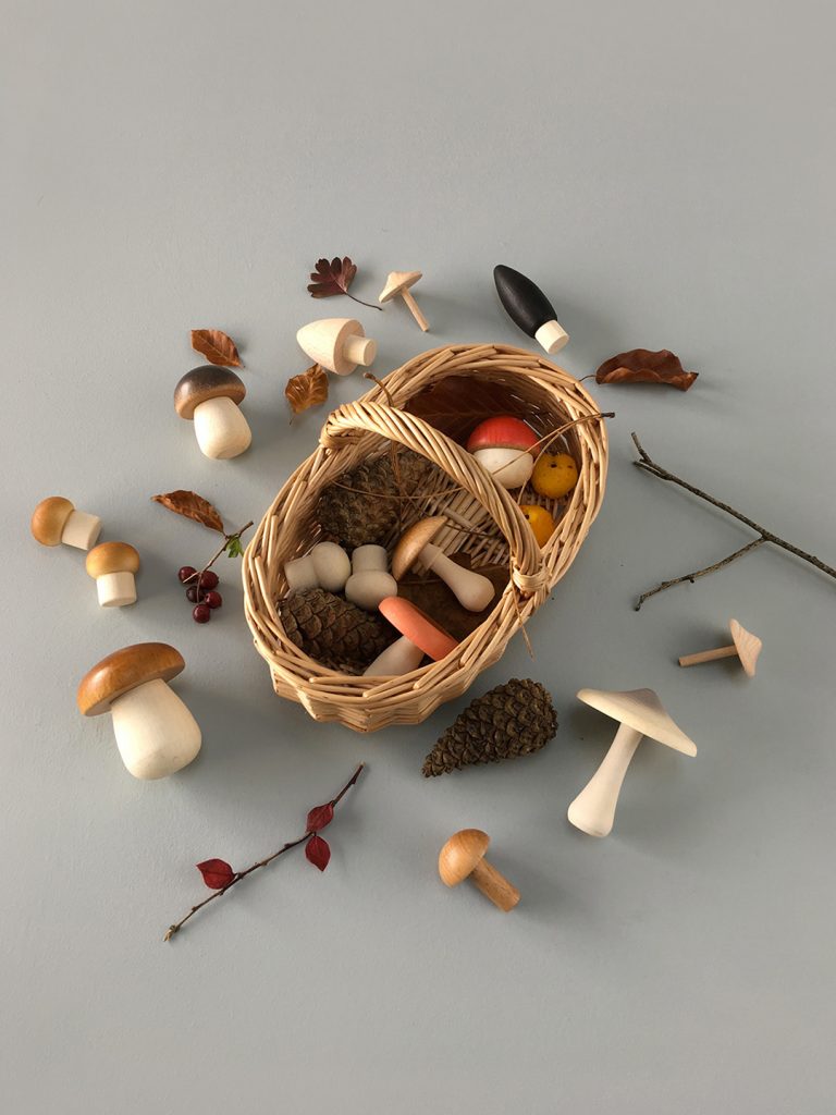 US stockist of Moon Picnic's Forest Mushrooms Basket.