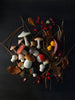US stockist of Moon Picnic's Forest Mushrooms Basket.