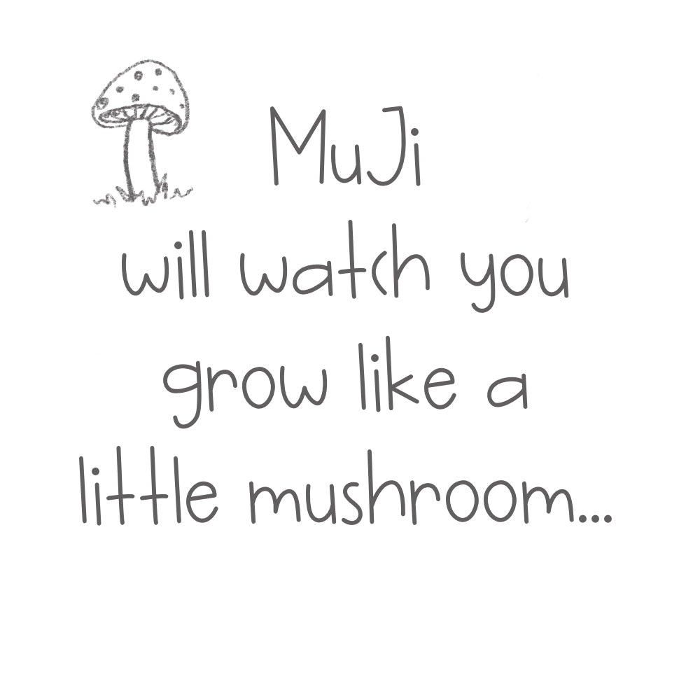 US stockist of The Wish Pixies MuJi Pixie Baby Rattle