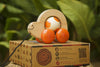 US stockist of Fair & Green's handmade baby Lil' Ladybug wooden toy