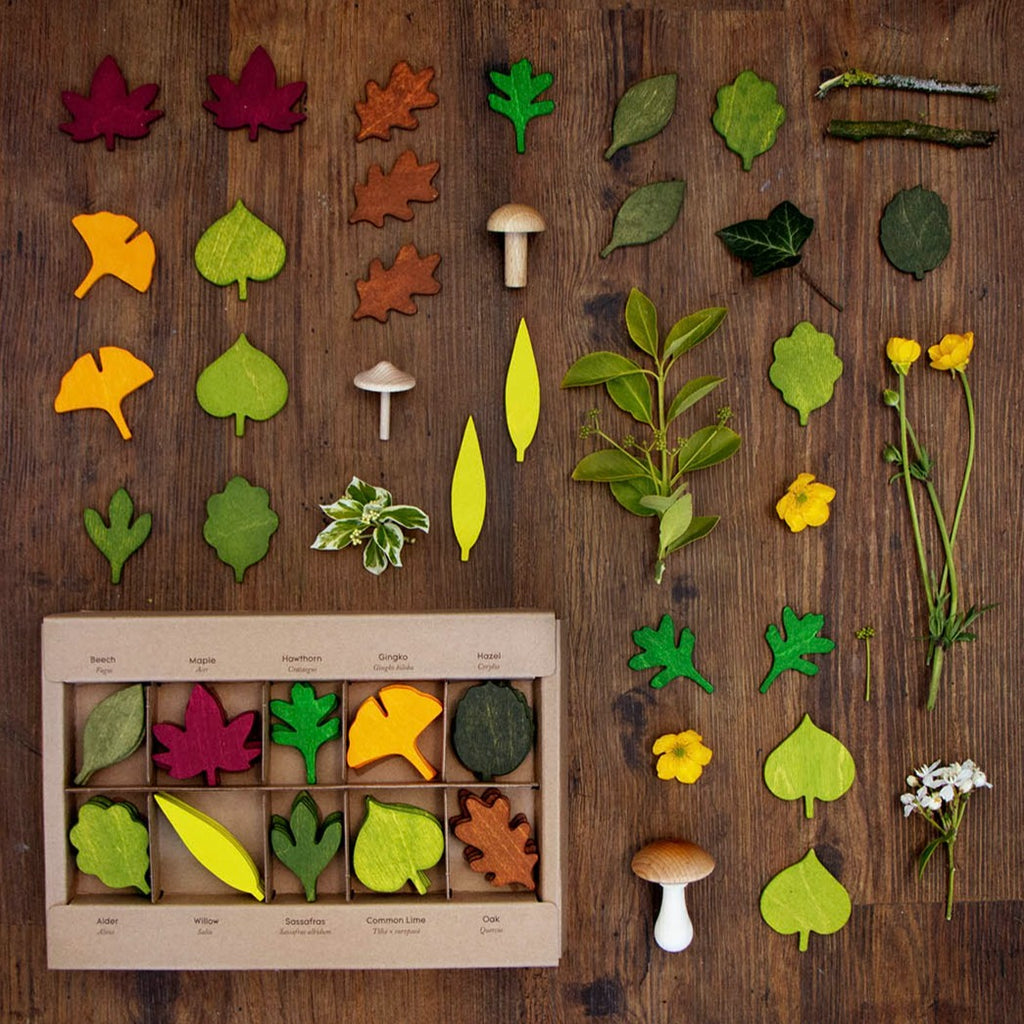 US stockist of Moon Picnic's Woodland Leaves.