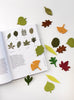 US stockist of Moon Picnic's Woodland Leaves.